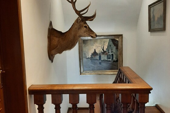 Château des Eglantines - photo 3