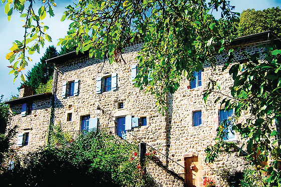MAS CASTA NÉA - photo 0