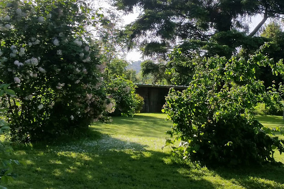 Manoir du Chêne - photo 15