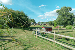 La Ferme des Epis