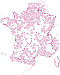 Invitation Bien-Être