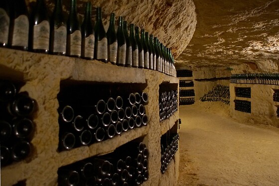 Domaine Lelais - photo 13
