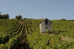 Domaine Lelais