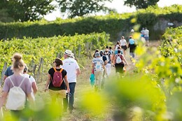 Domaine Lelais