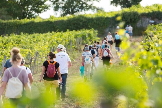 Domaine Lelais - photo 15