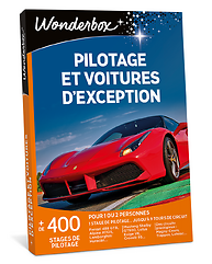 Pilotage et voitures d'exception