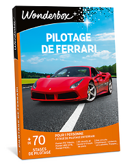 Pilotage de Ferrari