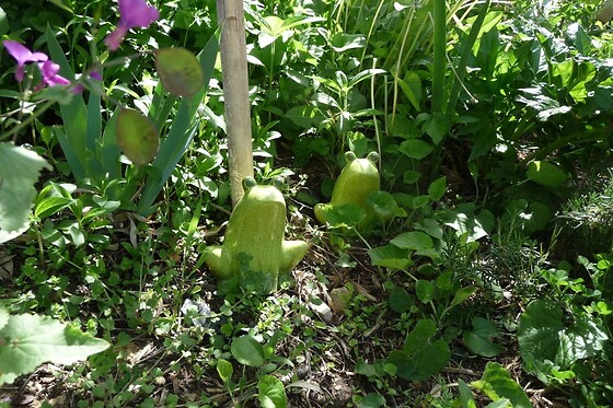 Mas Escombelle - photo 26