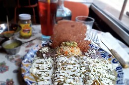 Toloache