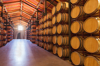 Visite & Dégustation en Champagne