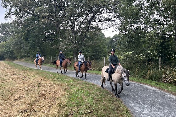 Equi Alliance - photo 0