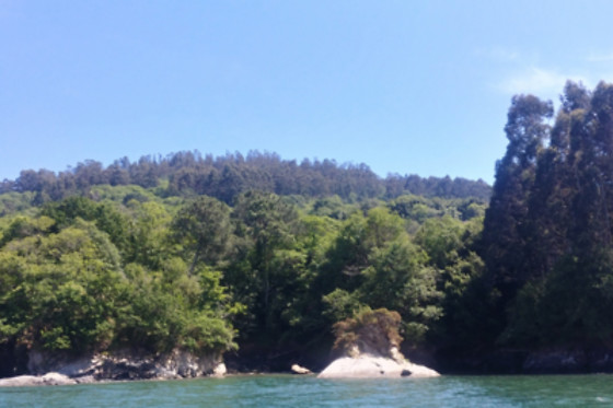 OCHIVO.COM - photo 0