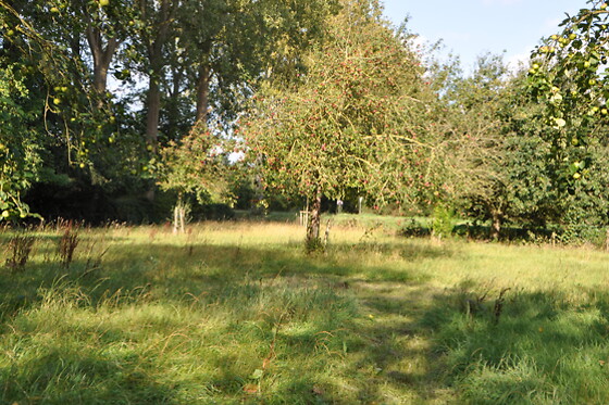 Noortweghe Glamping - photo 1