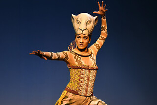 Le Roi Lion - Spectacle en duo