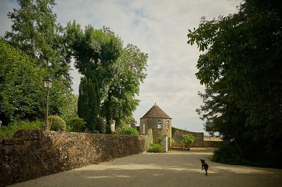 Château du Bois Guibert - photo 4