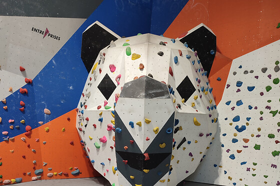 CMC Climbing Mulhouse Center - photo 1