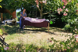 Elfenn Ayurveda