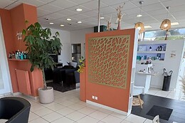 L'Art du Ciseau