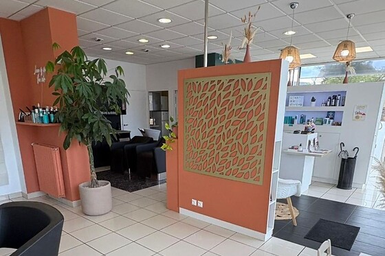 L'Art du Ciseau - photo 3
