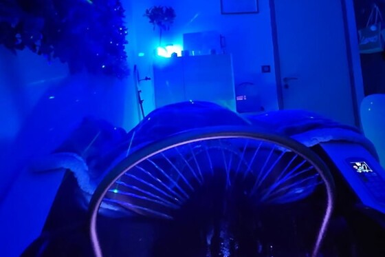 LAURA'S HAIR SPA - photo 4