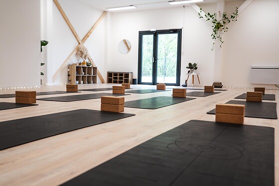 Alaya Studio - photo 0