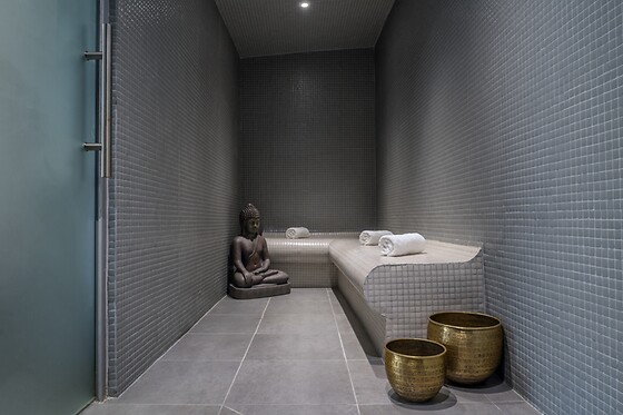 Accès au spa et soin du corps personnalisé pour deux à l'Hôtel du Roi & Spa by Sowell Collection à Carcassonne (11)