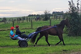 Haras du Saint Georges