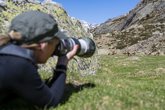 Hadrien Brasseur - photo 0