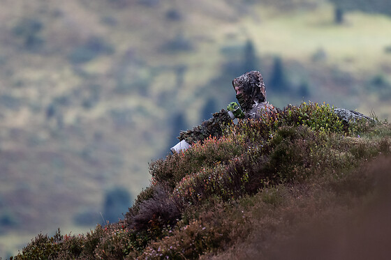 Hadrien Brasseur - photo 6