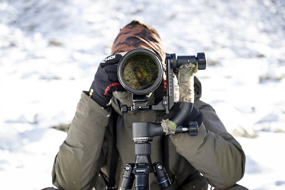 Hadrien Brasseur - photo 8