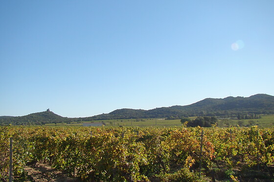 Maison Rivier - photo 8
