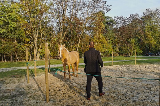 Action Equicoaching - photo 1