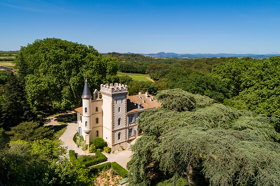 Château Capion - photo 0