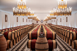 Bernard Magrez Luxury Wine Experience