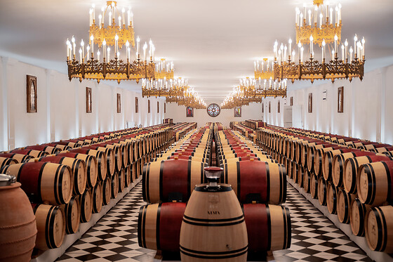 Bernard Magrez Luxury Wine Experience - photo 0