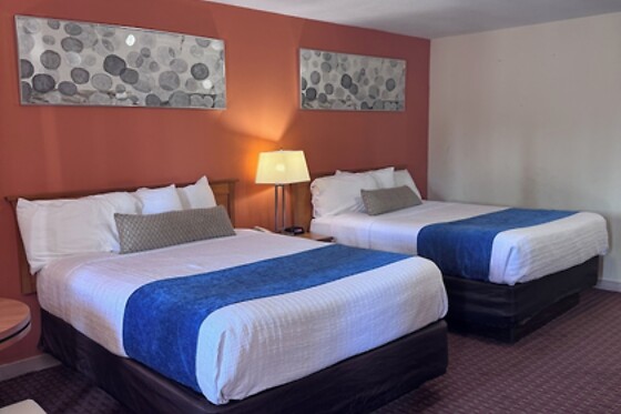 Online Booking EPS - photo 4