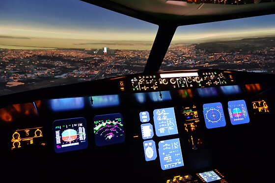 Zim Air Simulation - photo 5