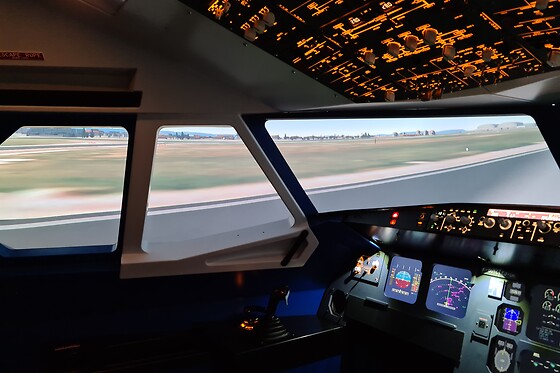 Zim Air Simulation - photo 8