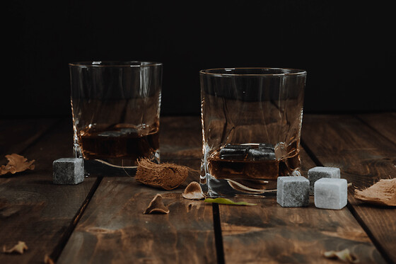 Initiation au whisky à La Rochelle (17)