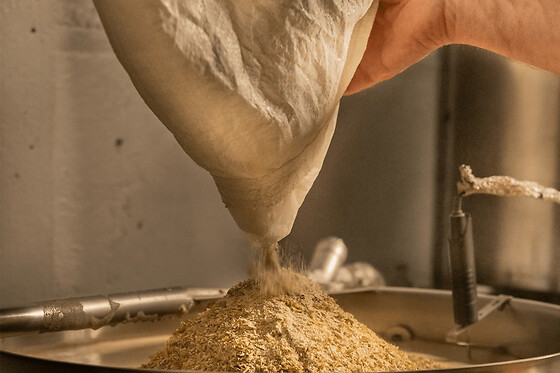 Atelier brassage de bière à Perigny (17)