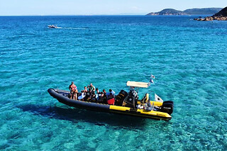 Grand Sud en bateau semi rigide depuis Santa Giulia (20)