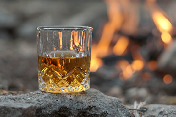 Initiation au whisky à Bordeaux