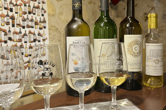 Dégustation de vins blancs de Bordeaux & accords fromages (33)