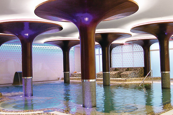 HOTEL PALACIO ALBACETE & SPA - photo 8