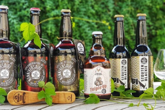 HopSaSam - photo 0
