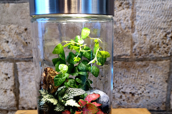 Atelier Terrarium lumineux petit format à Paris 20ème