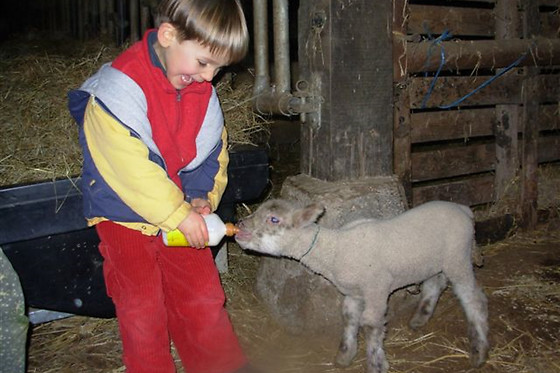 Ferme de creac'h gourlès - photo 4