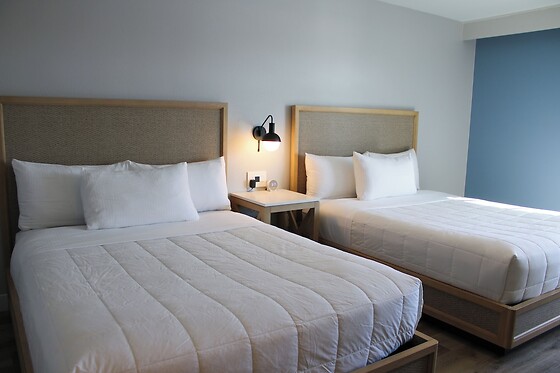 Online Booking EPS - photo 1