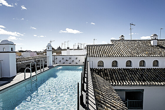 HOTEL HOSPES LAS CASAS DEL REY DE BAEZA - photo 3