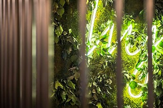 Un apéritif pour deux à Ivy à Paris (75002)